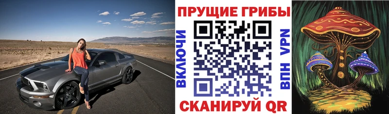 Галлюциногенные грибы ЛСД  Зеленодольск 